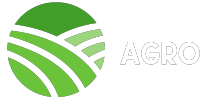 Logo Light